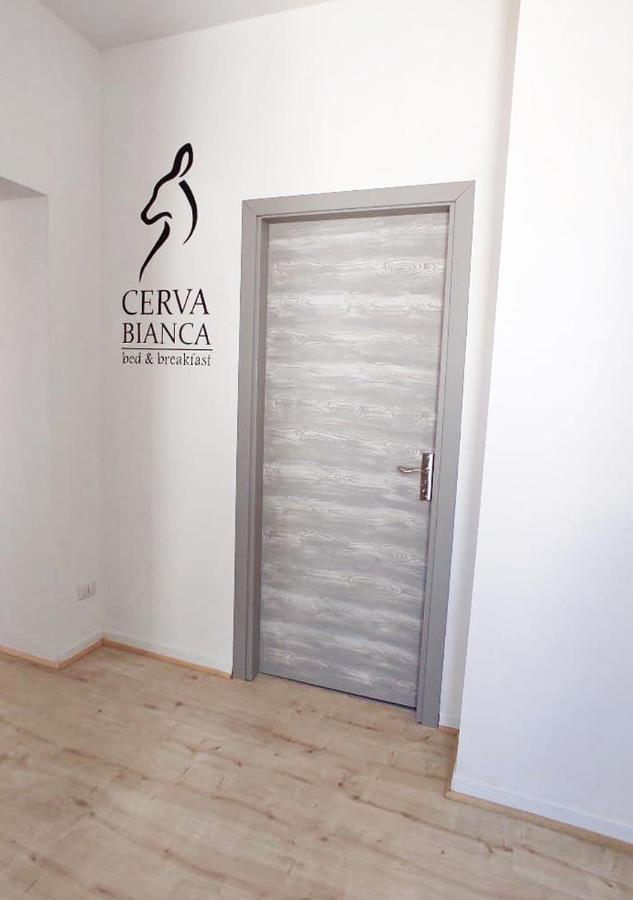 Cerva Bianca B&B Santa Maria Capua Vetere Esterno foto